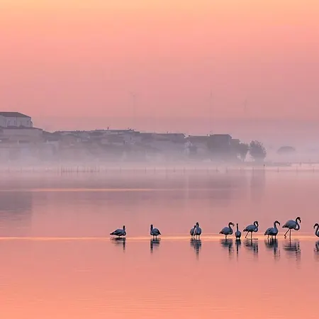 Сasa de vacaciones Ca Sal Lesina