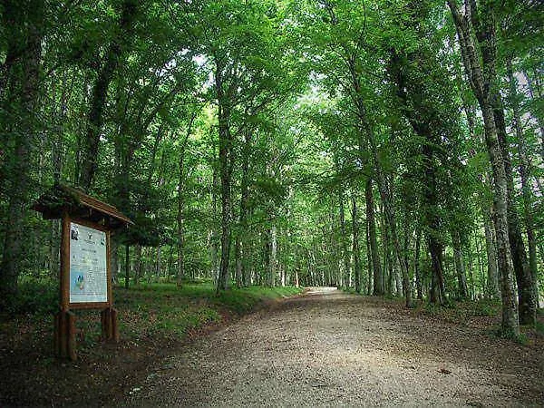 Ca Sal Ferienhaus Lesina